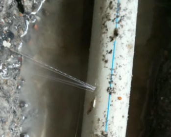 桑植卫生间测漏水多少钱