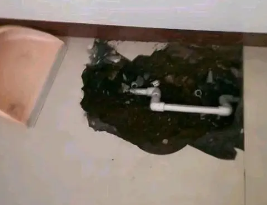 桑植卫生间测漏水多少钱
